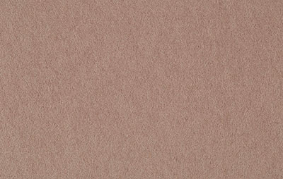 Couleur Brun Clair (BE-32)