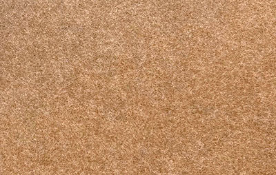 Couleur Brun Sable (MR83)